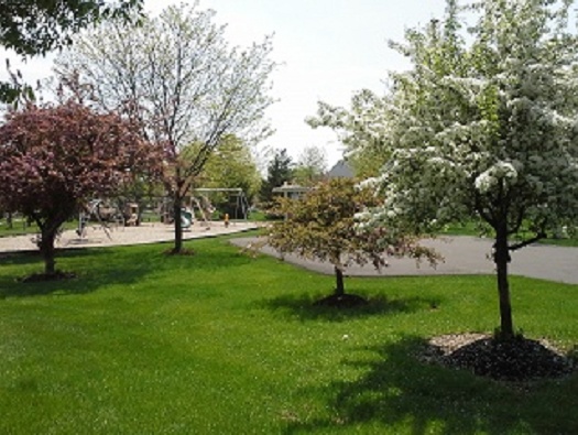 Playground Playground