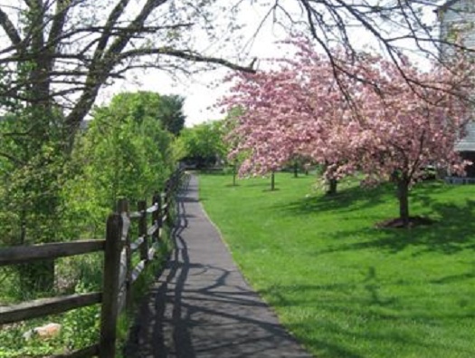 Walking Path